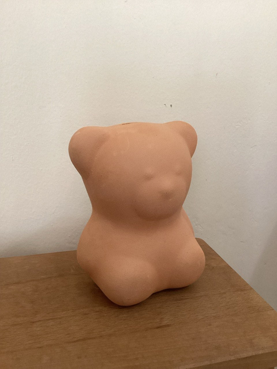 Bear Pottery Painting Kit