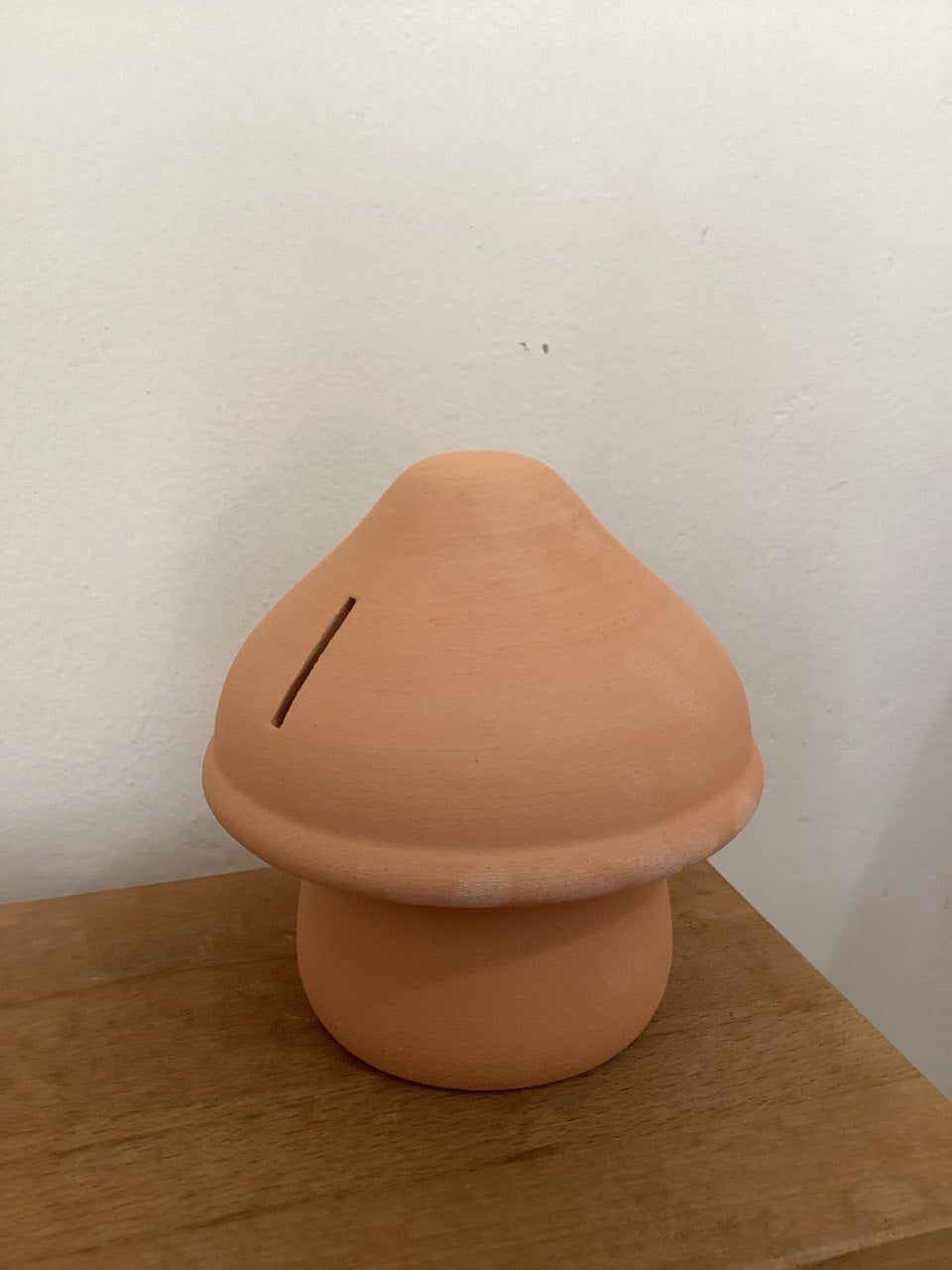 Mushroom Pottery Painting Kit